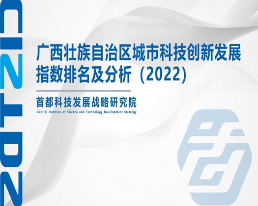 操漂亮的小姑娘屄的视频网站【成果发布】广西壮族自治区城市科技创新发展指数排名及分析（2022）